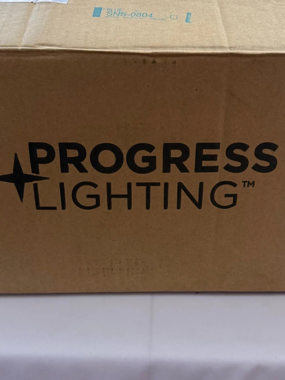 Progress Lighting two light